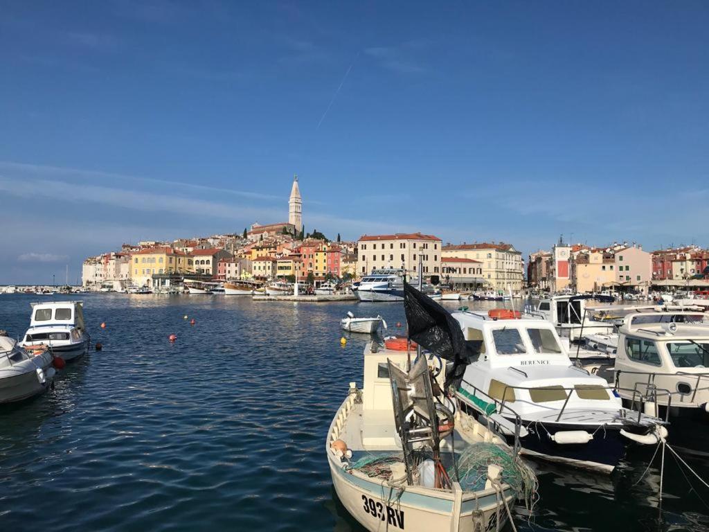 Maestral Rovinj