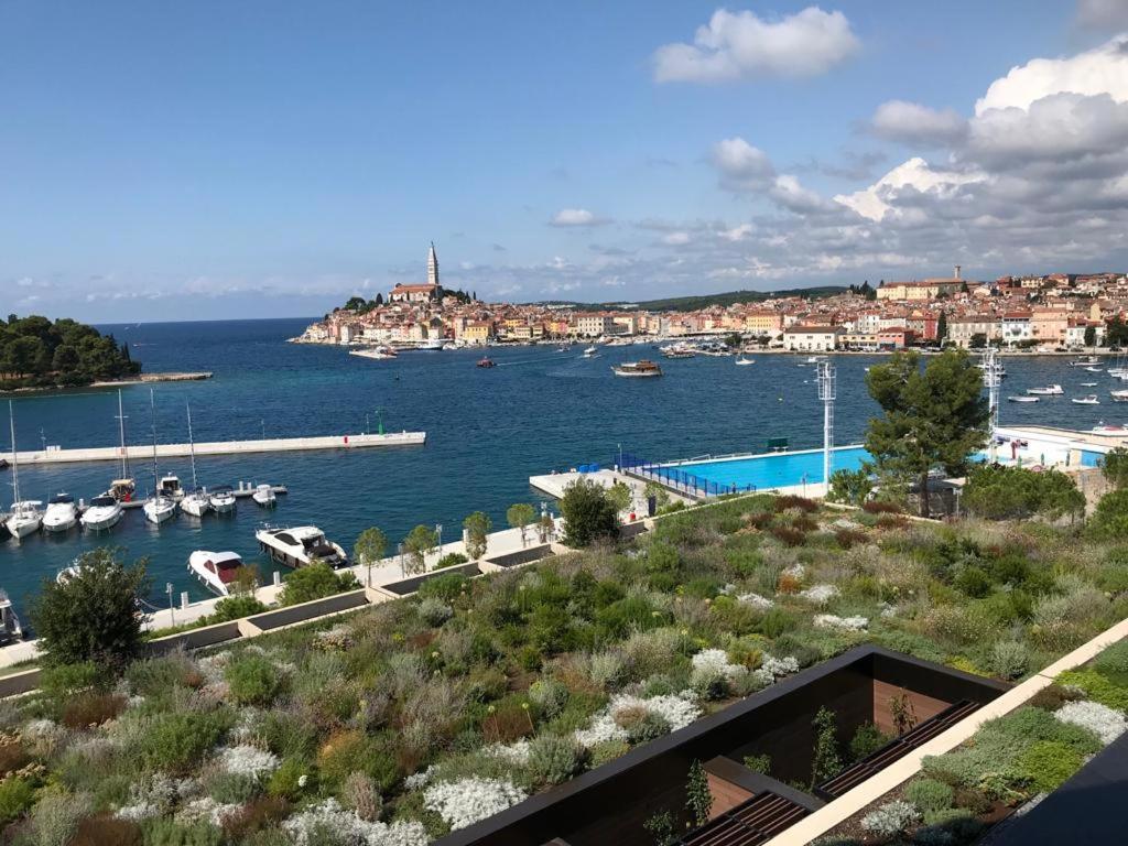 Maestral Rovinj