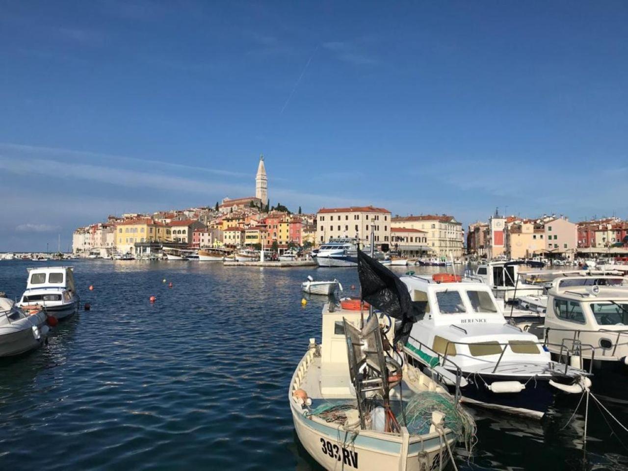 Apartman Maestral